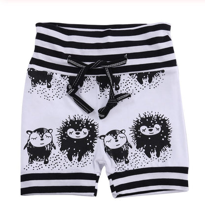 Baby Boy's 2 Pc Porcupine Hedgehog Outfit